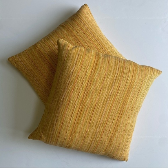 2 Crate & Barrel Maddox Throw Accent Pillows